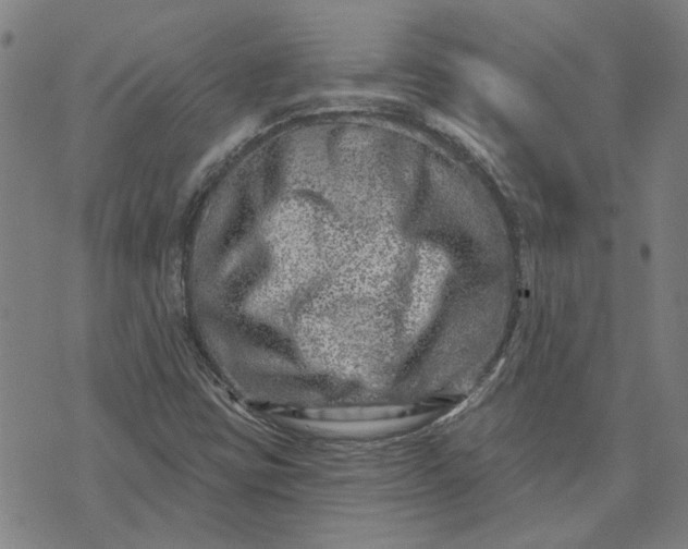 X0000074261403200609081724