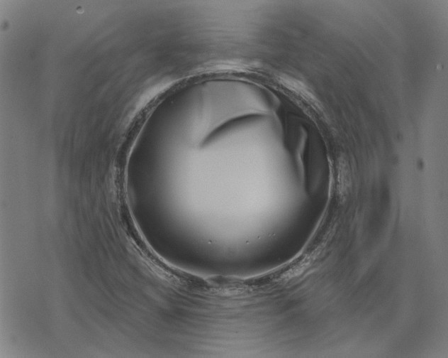 X0000074261404200609081724