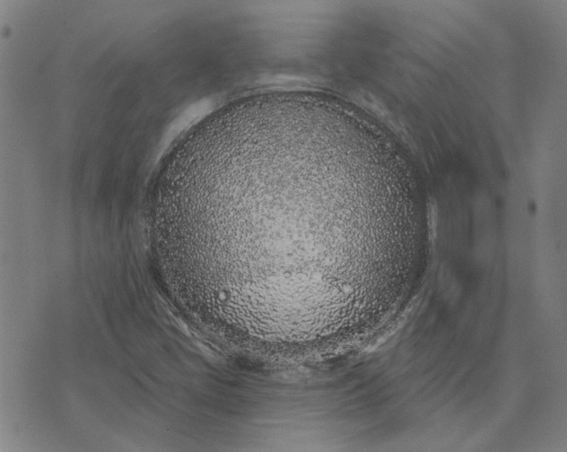 X0000074261405200609081724