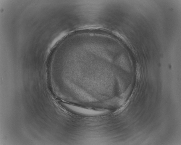 X0000074261406200609081724