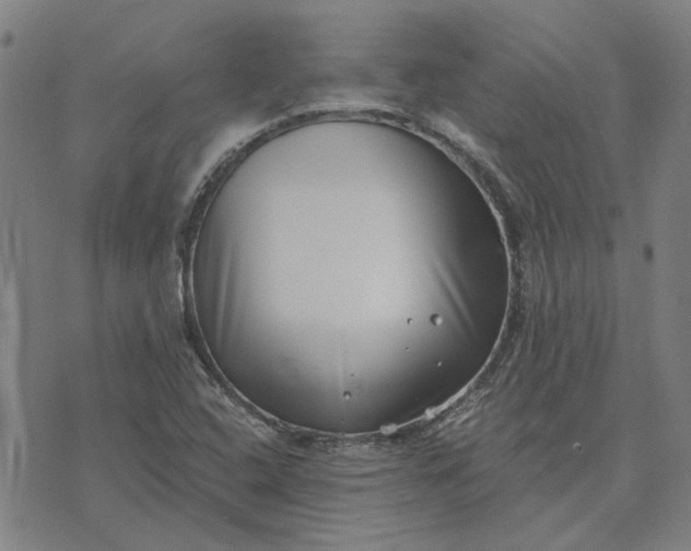 X0000074261408200609081725