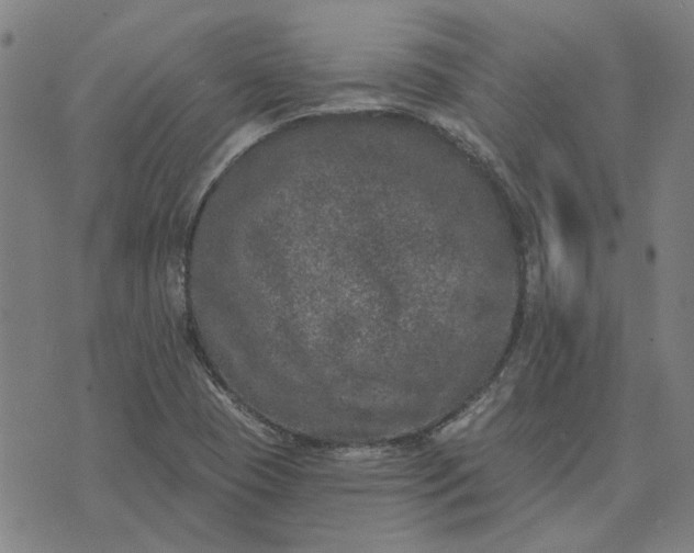 X0000074261409200609081725