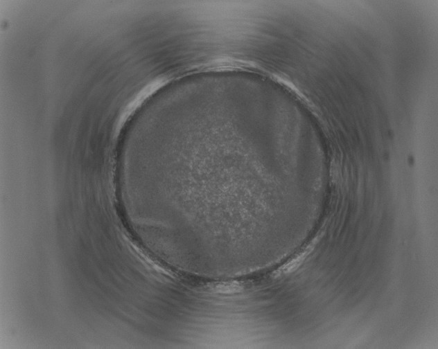 X0000074261410200609081725