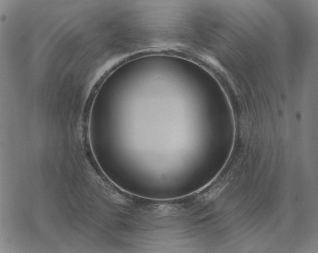 X0000074261412200609081725