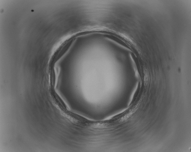 X0000074261414200609081725