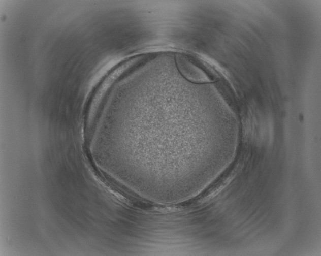 X0000074261415200609081725