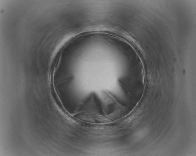 X0000074261416200609081725