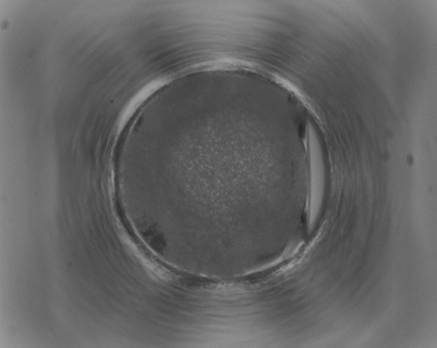 X0000074261418200609081725