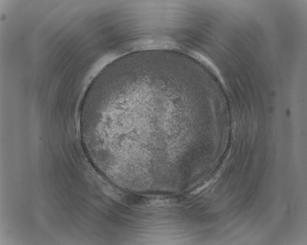 X0000074261419200609081725