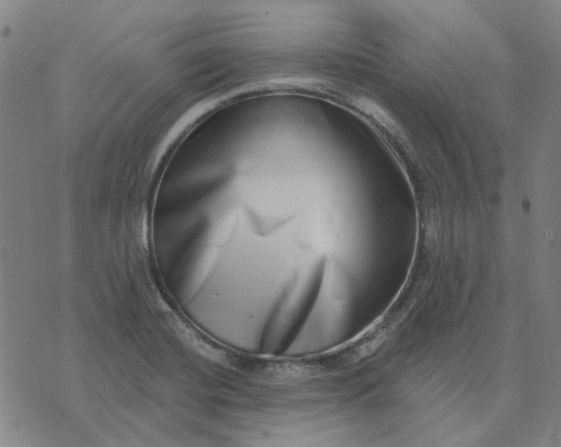 X0000074261420200609081725