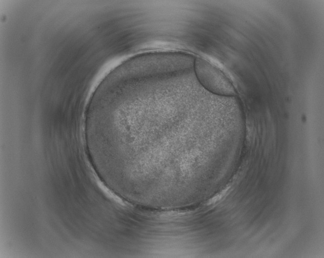 X0000074261421200609081725