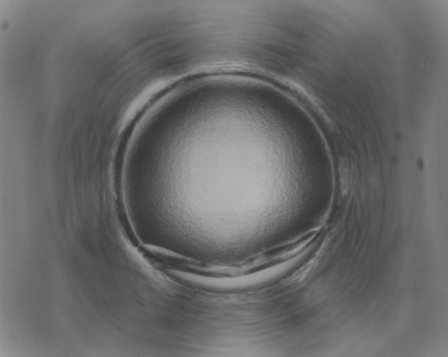 X0000074261422200609081725