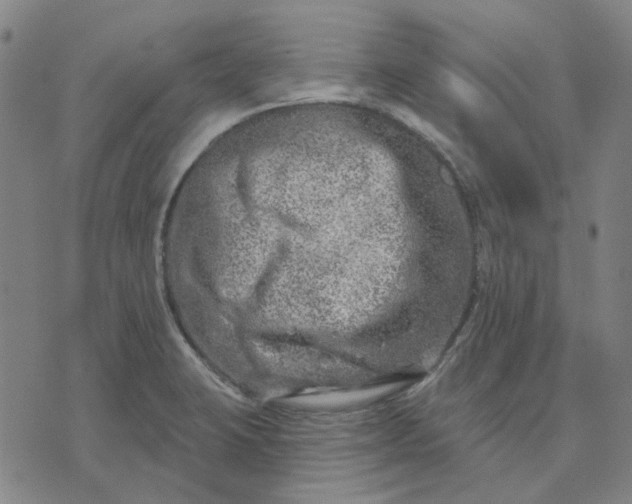 X0000074261423200609081725