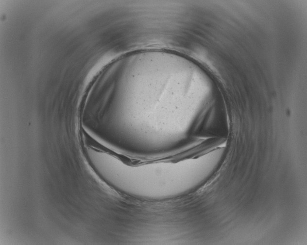 X0000074261424200609081725