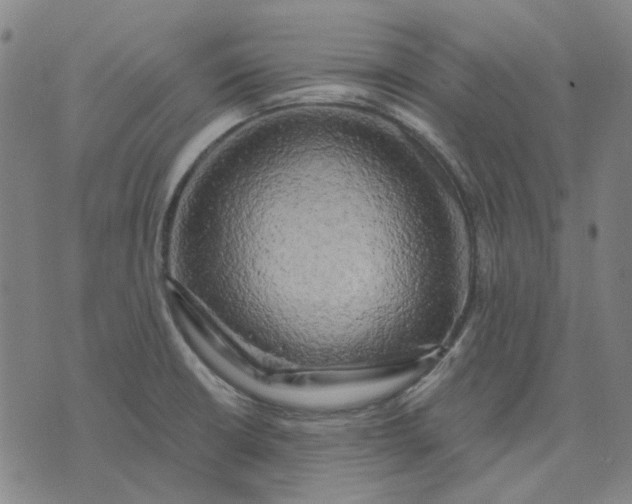 X0000074261426200609081725