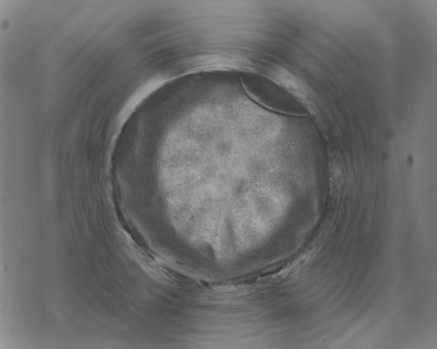 X0000074261427200609081725