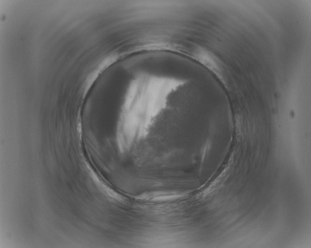 X0000074261428200609081725