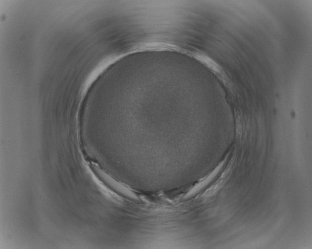 X0000074261430200609081725