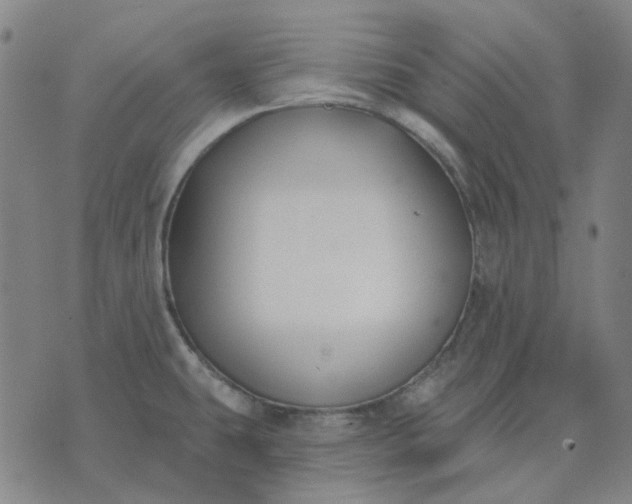 X0000074261431200609081725