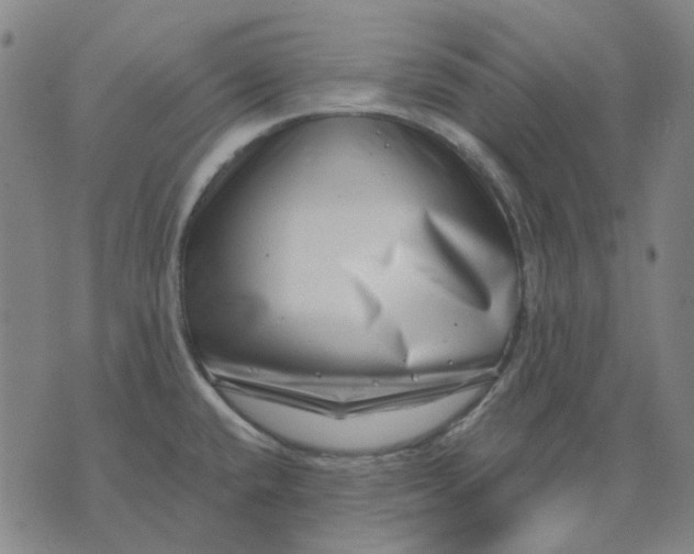 X0000074261432200609081725