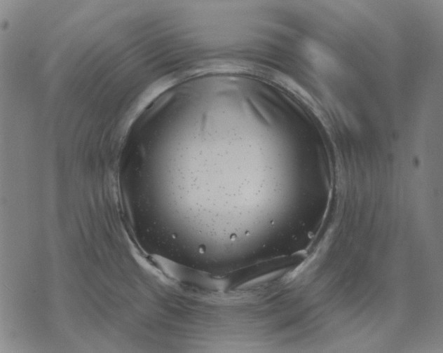 X0000074261433200609081725