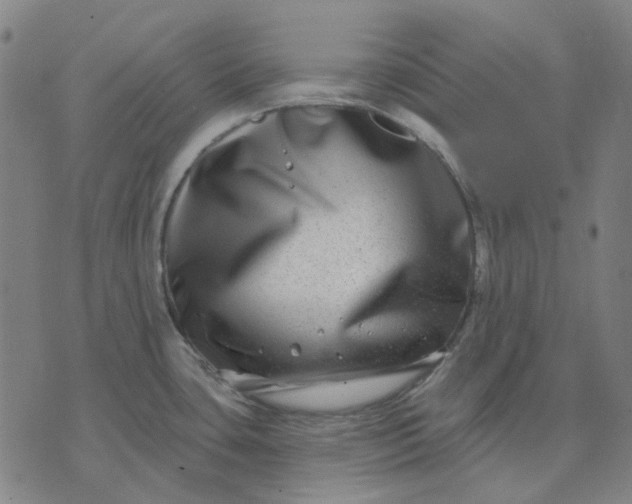 X0000074261435200609081725