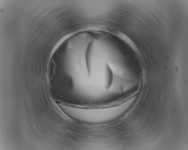 X0000074261436200609081725