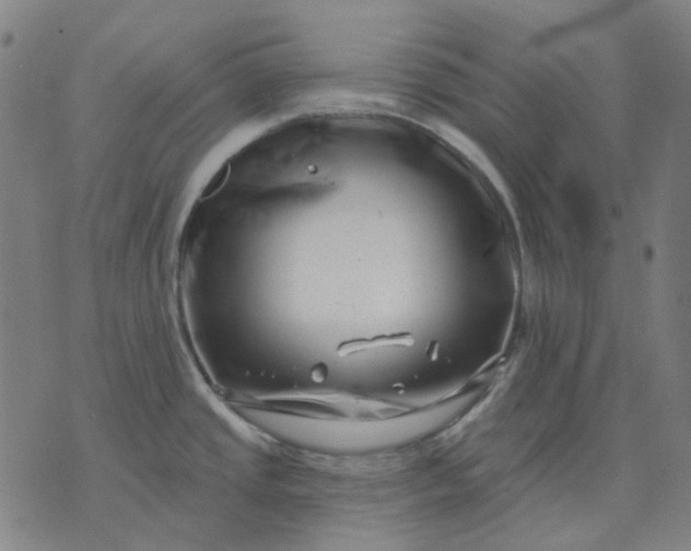 X0000074261437200609081725