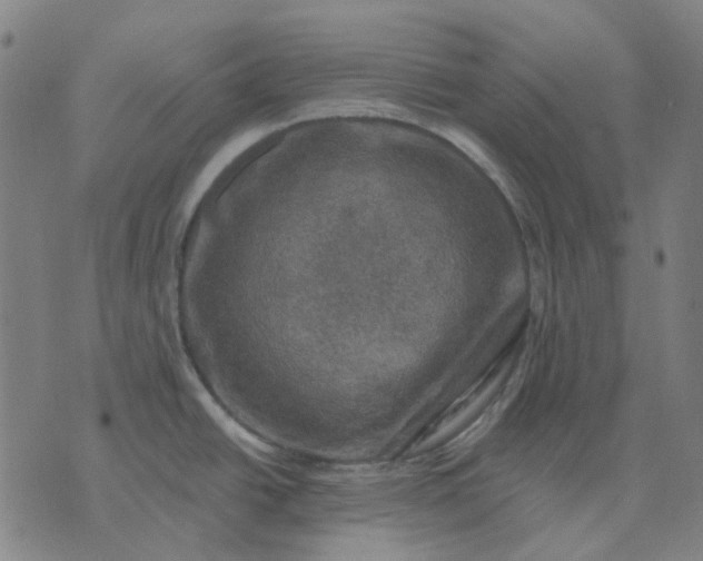 X0000074261438200609081725