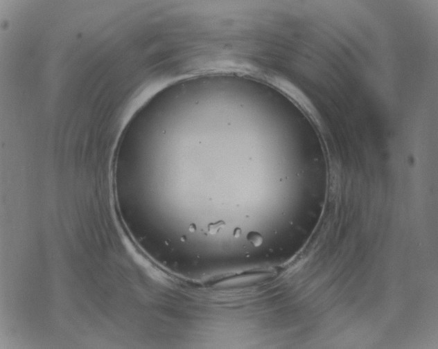 X0000074261439200609081725