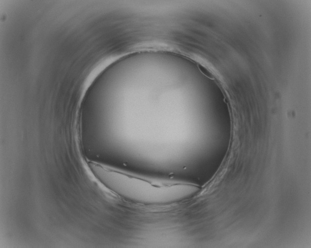 X0000074261440200609081725