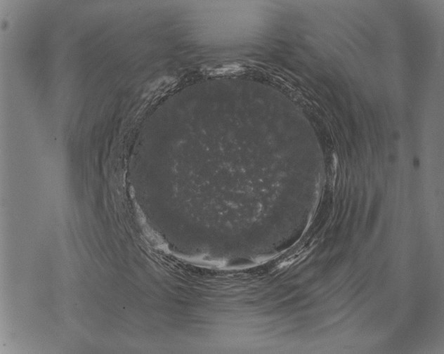 X0000074261441200609081724