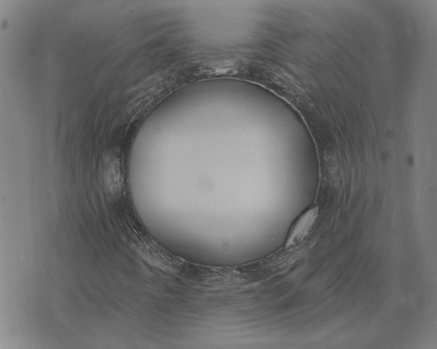 X0000074261442200609081724