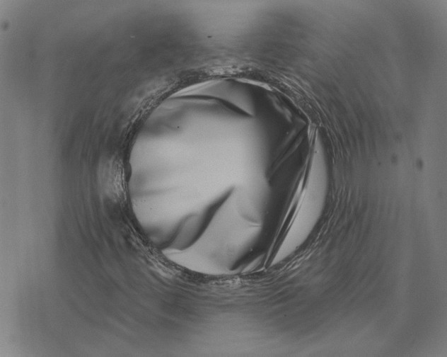 X0000074261444200609081724