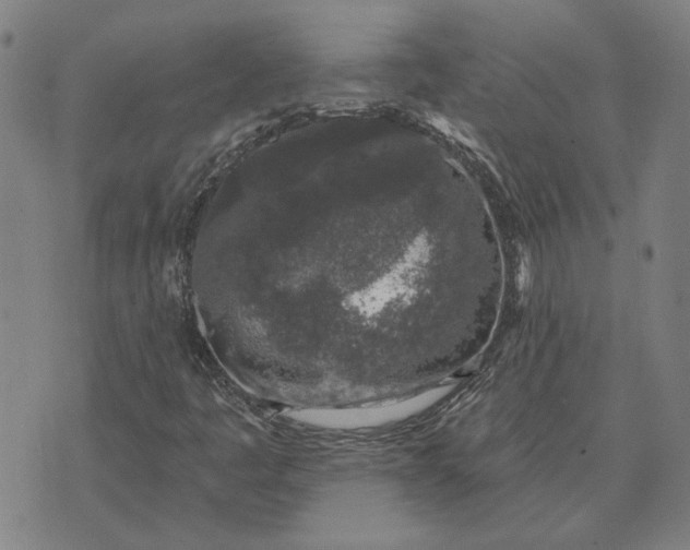 X0000074261445200609081724