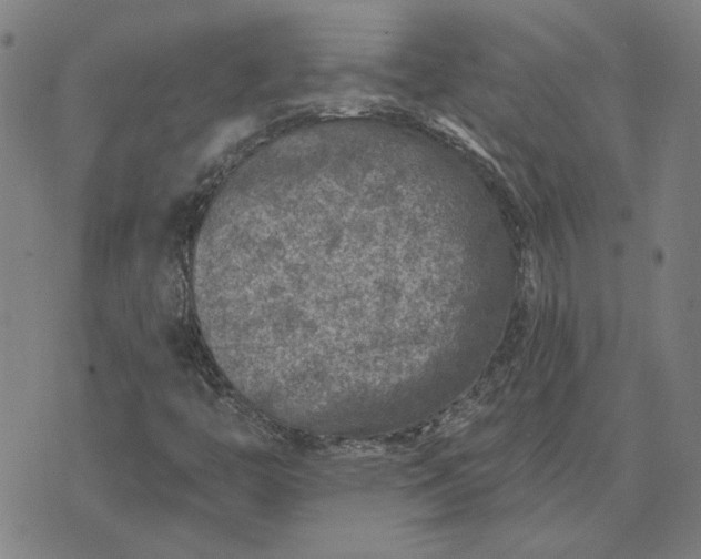 X0000074261446200609081724