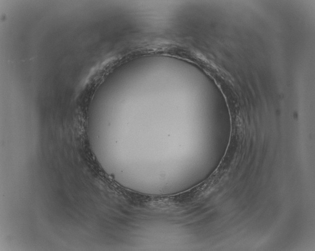 X0000074261447200609081724