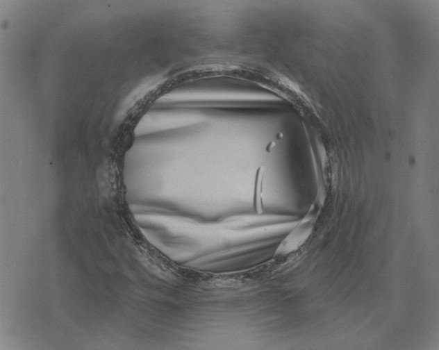 X0000074261448200609081724