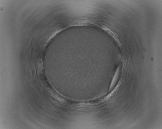 X0000074261449200609081724