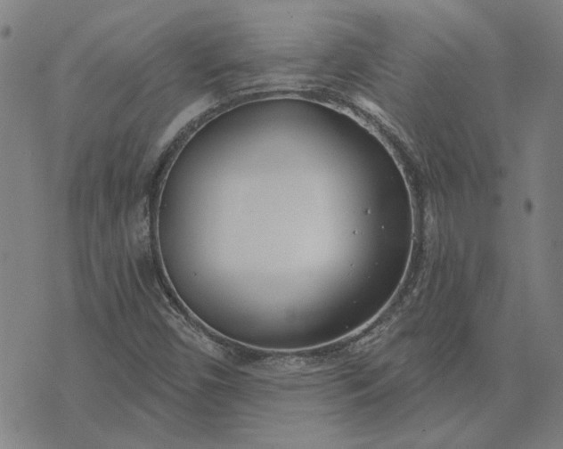 X0000074261450200609081724