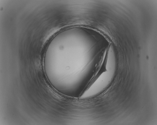 X0000074261452200609081724