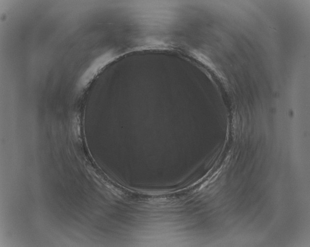 X0000074261455200609081724