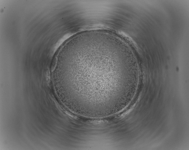 X0000074261457200609081724