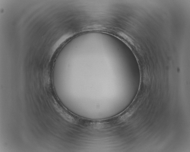 X0000074261458200609081724