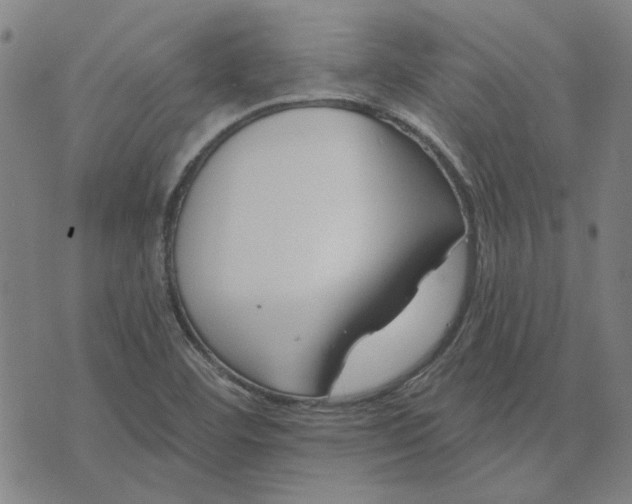 X0000074261460200609081724