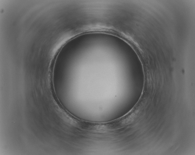 X0000074261463200609081724