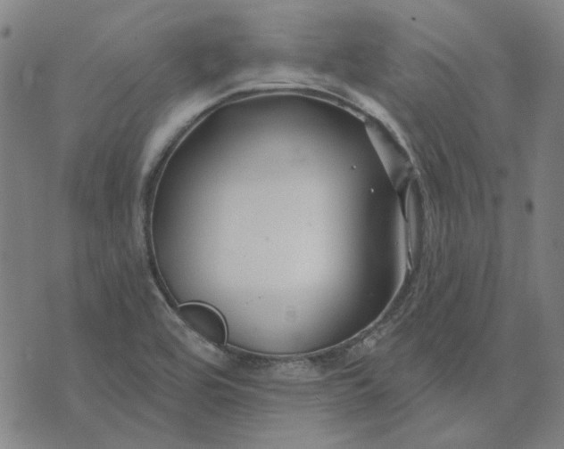 X0000074261464200609081724