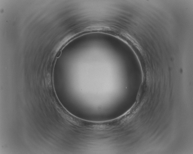 X0000074261465200609081724