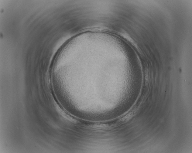 X0000074261466200609081724