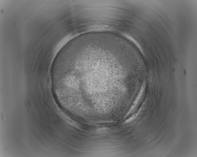 X0000074261467200609081724